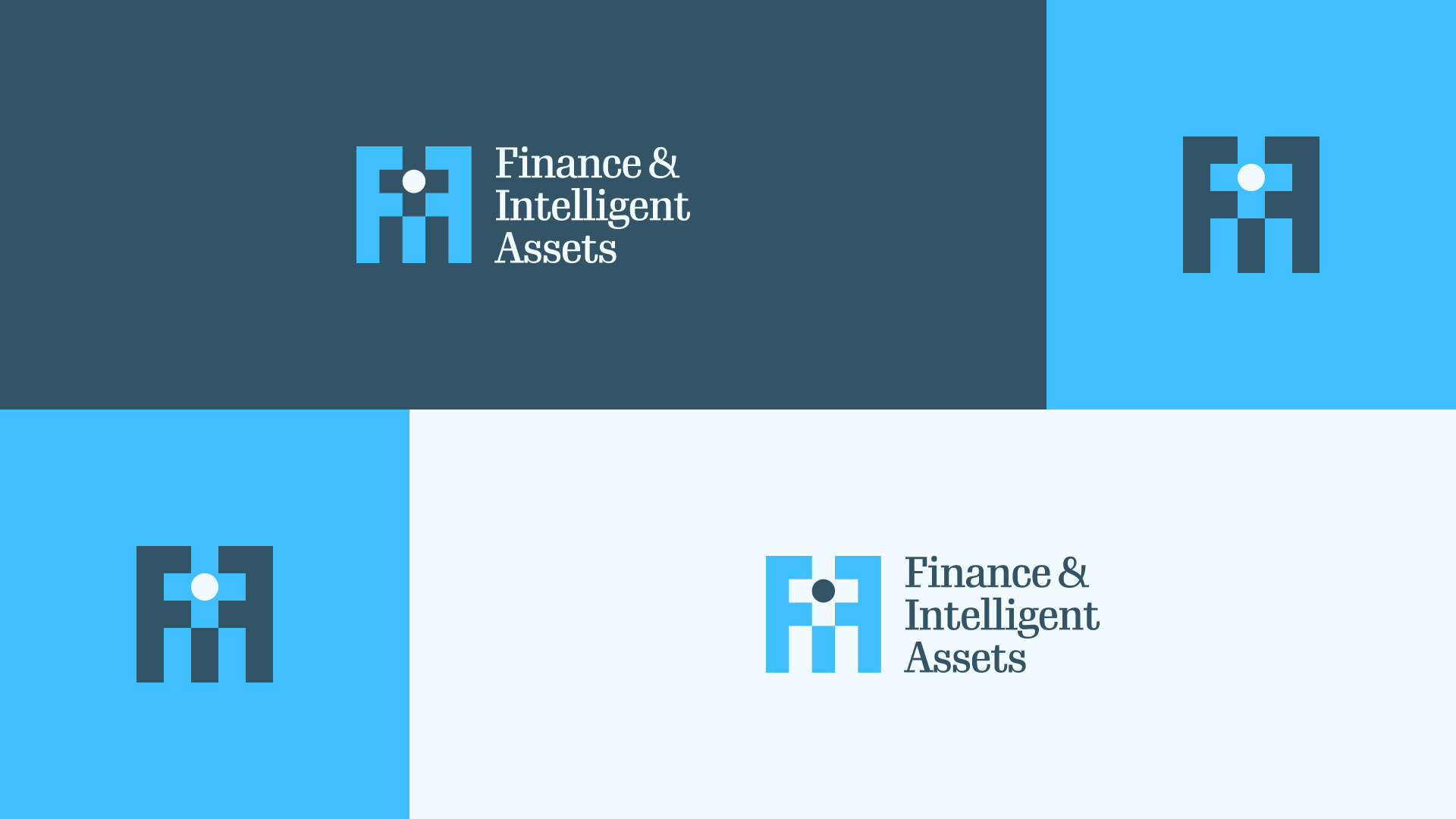 Variações do logotipo e do símbolo FIA